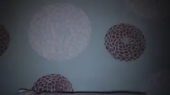 alanabloom  records from 23_08_2017 year