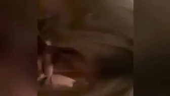 Ch111oe Sucking & Fucking Onlyfans