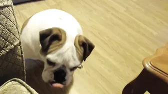 runningman93  sex chat record 2017 17 of May