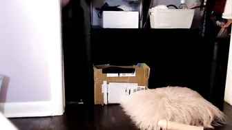 lil_purrmaid Babe in stockings handjob pussy