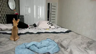 brandiloveee Young girl masturbates lips sex