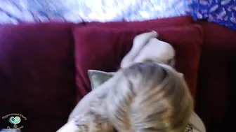 peppermintpanddustyk Vicious priestess posing in lingerie