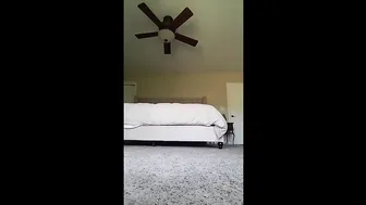 AJ Applegate Spectacular devil smartly jerks off her dildo