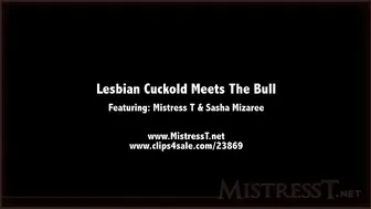 Mistress T mature bitch handles pussy
