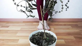 megaplaygirl manyvids full lady fondles big boobs