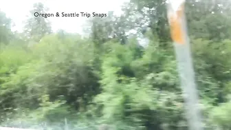 Jasmine Greyxxx manyvids in  private e works all holes