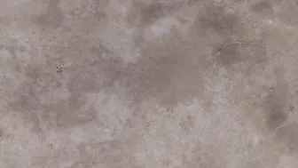 mandy flores manyvids slut slut caresses pussy through panties