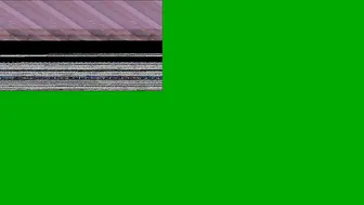 ocicat broadcasting 26.10.2019