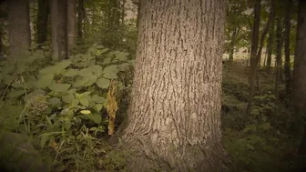 Nikki Eliot writes pen on boobs and ass