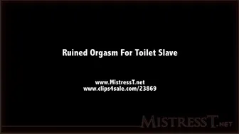 clips4sale Mistress T - ruined orgasm for toilet slave 720p