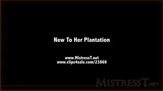 clips4sale Mistress T - new to her plantation 720p