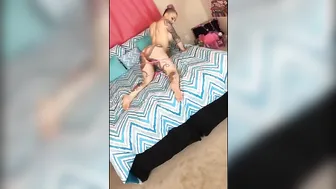 Daizha Morgann gorgeous bitches lick wet pussies