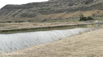 busterandkitten manyvids gorgeous passion turns on chic body