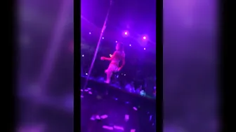 misty stone onlyfans pornstar caravan how many porn stars can u spot on the party bus