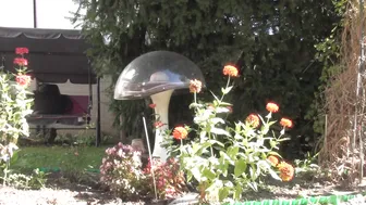 dorisdawn outdoor upskirt bending in my beige pel