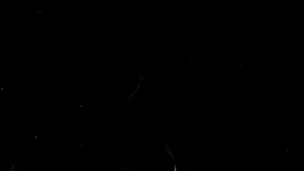 fiorafierce-testing-a-new-toy-2020-01-07_quwxbJ