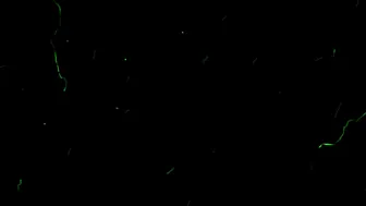 fiorafierce-playing-with-my-new-toy-teaser-2020-01-07_JMr9jO