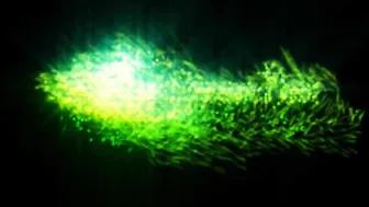 Daizha Morgann  manyvids- My Sister AJ Morgann in a 69 making 8in of dick vanish like whaaat...