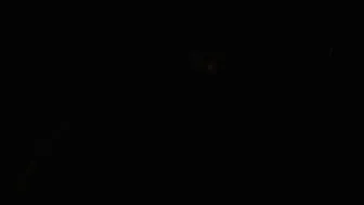 MissyMartinez -Nothing but lingerie, a dildo and a blank wall (1)