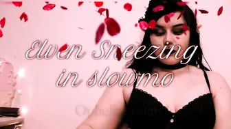 OpheliaLestat Elven Sneezing In Slowmotion Plus bonus