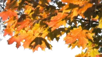 LIUDMILA Only pissing squirt fountain orgasms