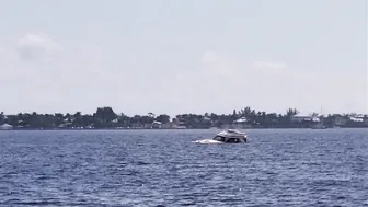 Miss Ellie young nipple caresses breasts