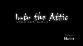 INTO THE ATTIC  _0027_Marina_RT0_4