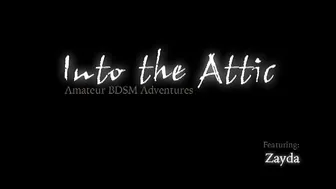 INTO THE ATTIC  _0043_Zayda_RT0_7