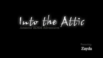 INTO THE ATTIC  _0043_Zayda_RT0_2