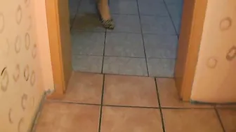 Sexy-Engel Durch die gl?дnzende FSH mit dem Pumps befriedigt