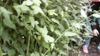 Merry4Fun - Bei meinen Nachbarn eingebrochen!