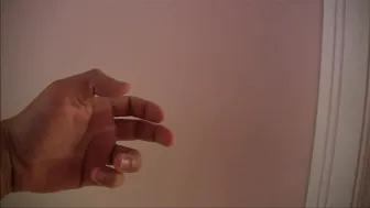 Sandra Latina_The Cinco De Mayo Home Wrecker