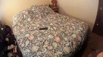 annabelle bestia your punk rock little sisters new toy