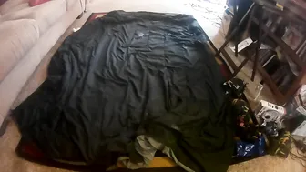 annabelle bestia slytherin pureblood pride