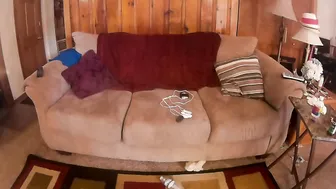 annabelle bestia revanclaw electric paly