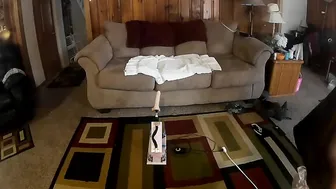 annabelle bestia hufflepuff fucked