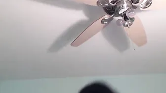 tsindicablue 4 january 2019 38240