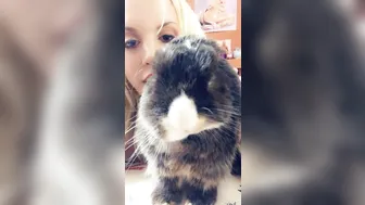 Blondie Fesser onlyfans 2018-03-19