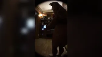 Blondie Fesser onlyfans Twerk that 2019-09-28