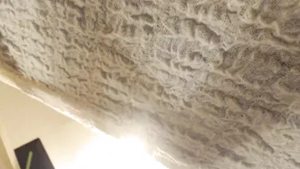 finn_and_amelie 8.05.2020 208_couple myfreecams