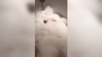 lilemma_ myfreecams 018 0 2_I know my feet lovers and legs lovers will enjoy