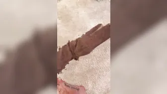 Ella Jolie onlyfans [0174151] What about these sexy dirty thigh highs for sale!!!! Dm me [2017 04 22]