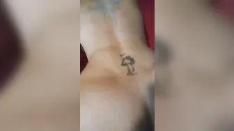 Aryana Augustine onlyfans [0374585] Pop Shot! [2017 07 12]