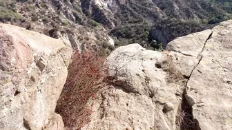 Zac and Kitty_wildfoxxx _ZacKitWildFX_vid_17