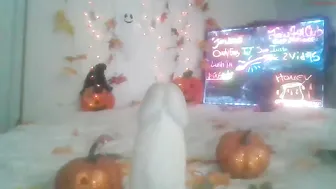 honeyhotsauce 7092020 001_female webcam