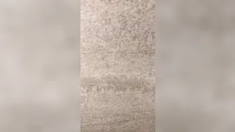 luvevelynclaire LISTEN FOR THE WHISTLE LOL Message me if you want the video of 2759735