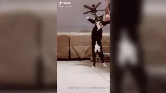 dylanjamesxo 11 06 2020 25699536 This shit made me laugh so hard I cried. This is the