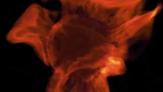 Laz Fyre 2609 onlyfans 345