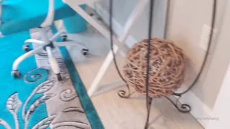 spicyj 26 03 2020 27513004 New Teaser