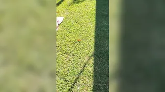 downundercple It s way to beautiful of a day to be stuck inside xxx